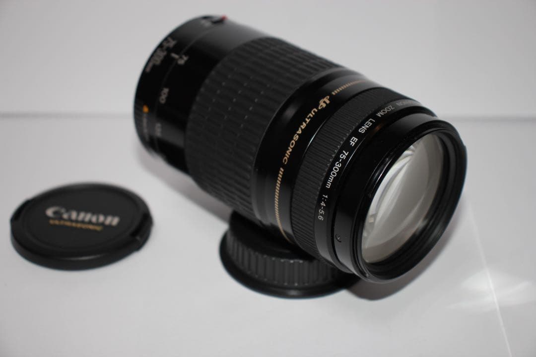 人気の300mm☆CANON EF 75-300mm F4-5.6