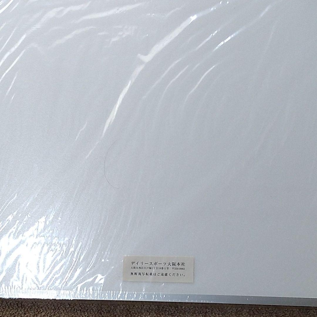 テイエムオペラオーの写真パネル