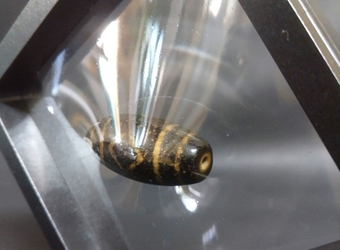 636天珠 金剛三眼天珠 dzibeads！