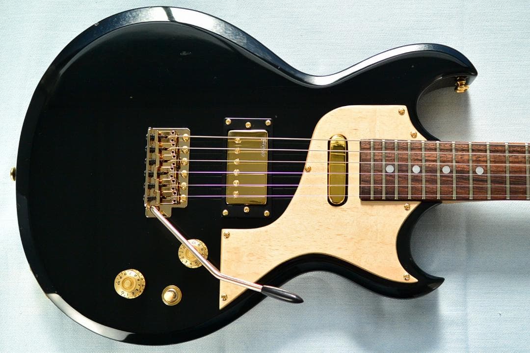 Aria Pro II CS-350T ピックアップ増設 バーズアイピックガード