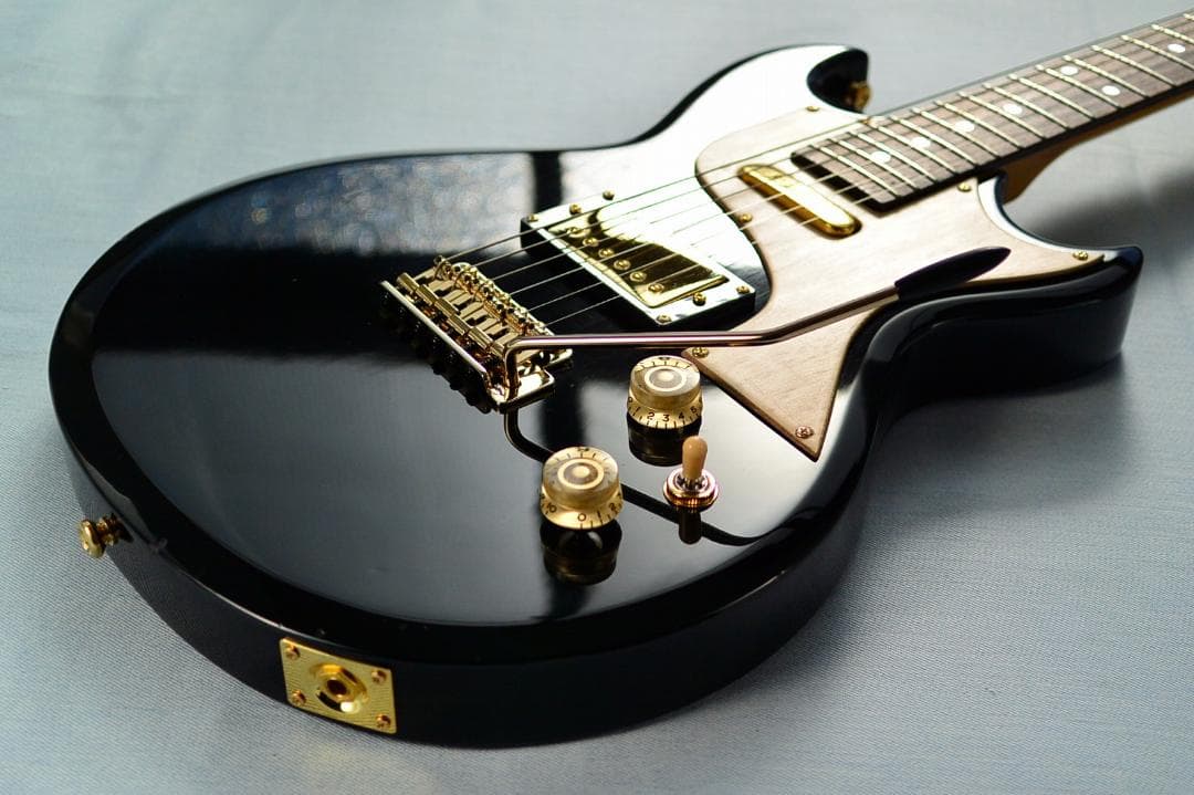 Aria Pro II CS-350T ピックアップ増設 バーズアイピックガード