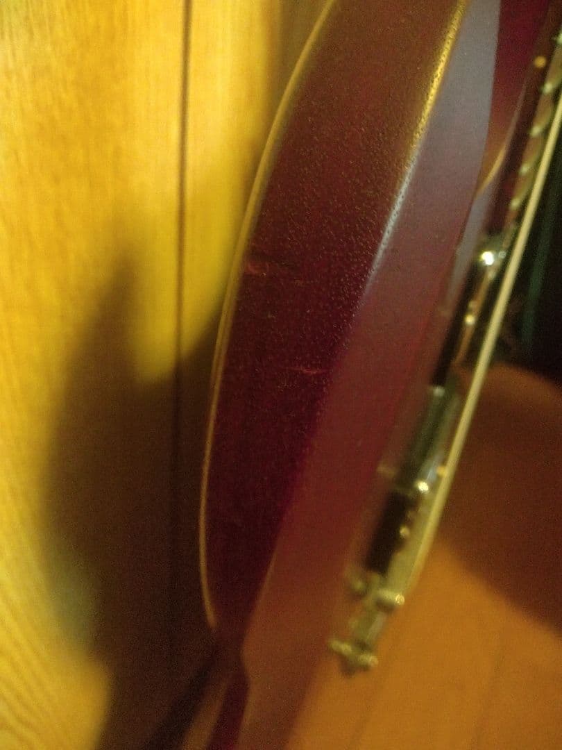 Gibson SGJ 120th ANNIVERSARY バーガンディ