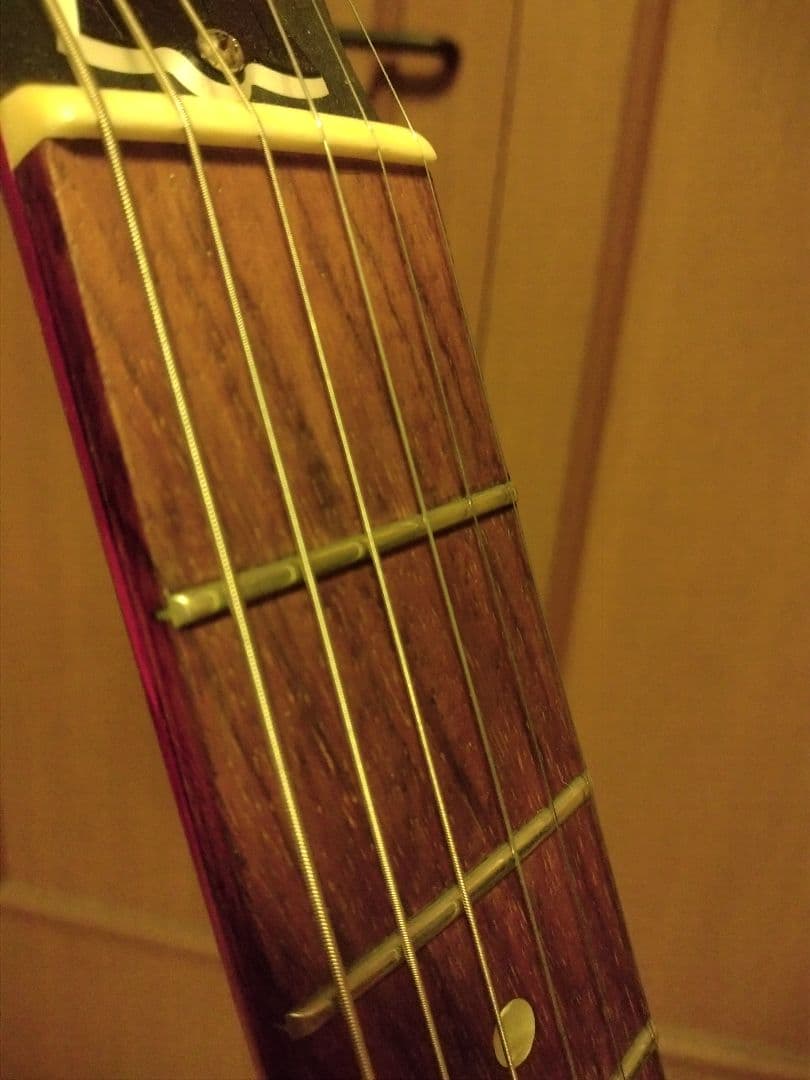 Gibson SGJ 120th ANNIVERSARY バーガンディ