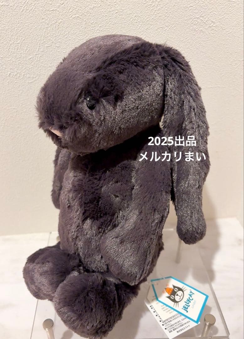  Medium Bashful Inky Bunny インキー黒