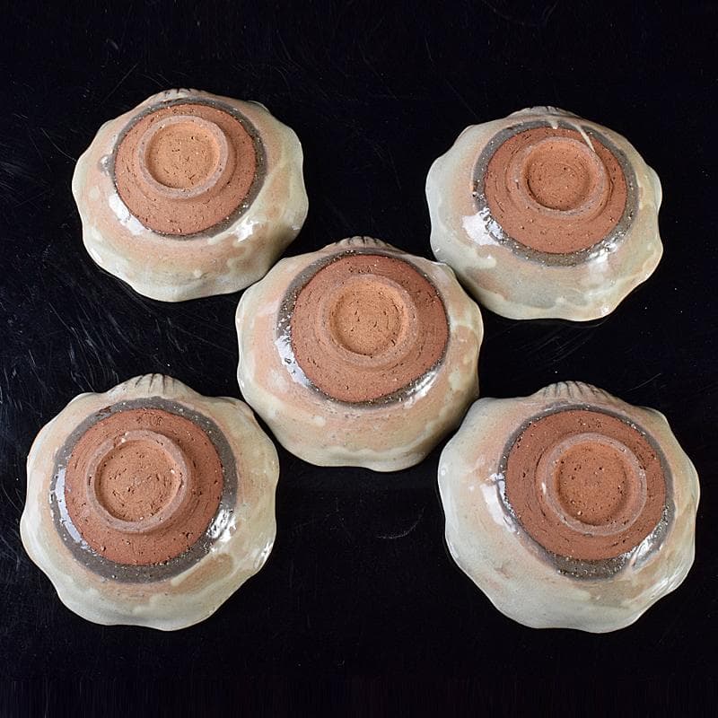 ピノ　和食器萩焼大華山鳥雲窯納富鳥雲作　貝形向付五客共箱　V　R8000B