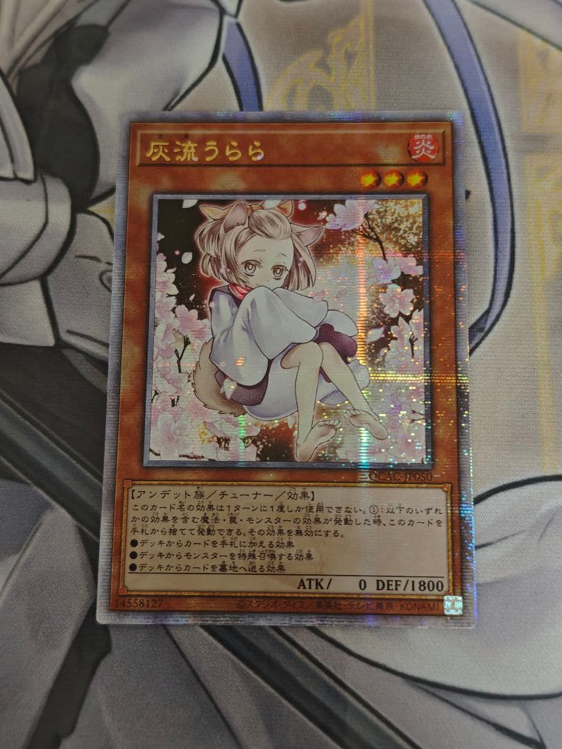 遊戯王 灰流うらら 25thシークレット クオシク イラスト 絵違い アジア版