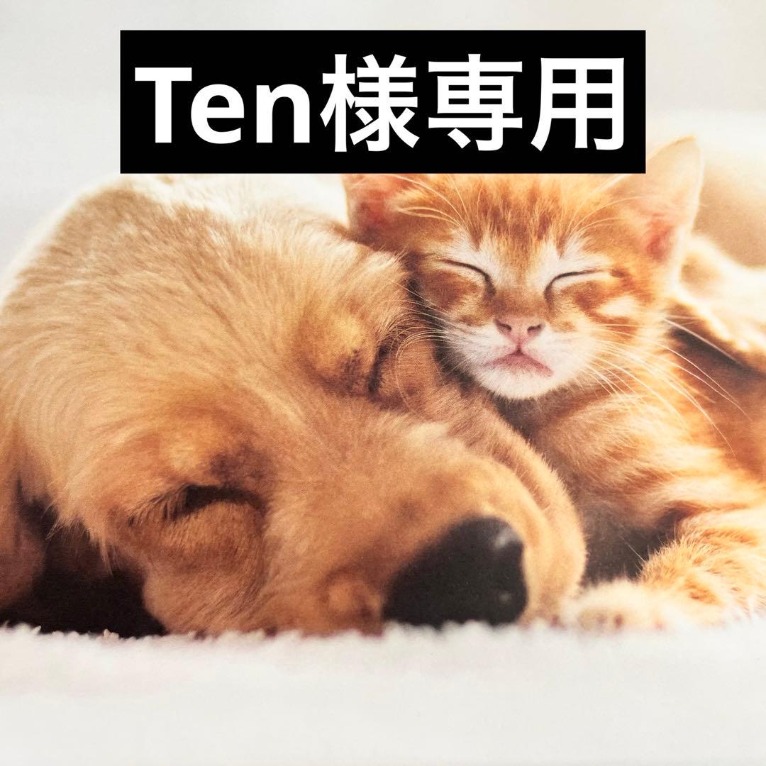 その他 Ten