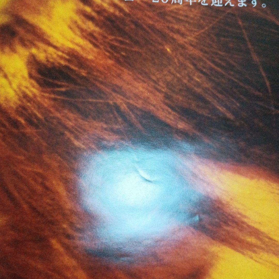 ZARD 20th YEAR ポスター 110