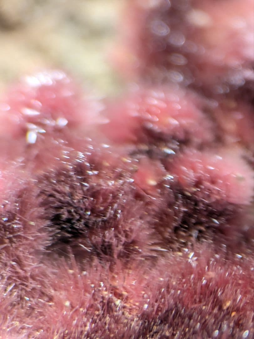 エリスライト　モロッコ　鉱物標本　原石