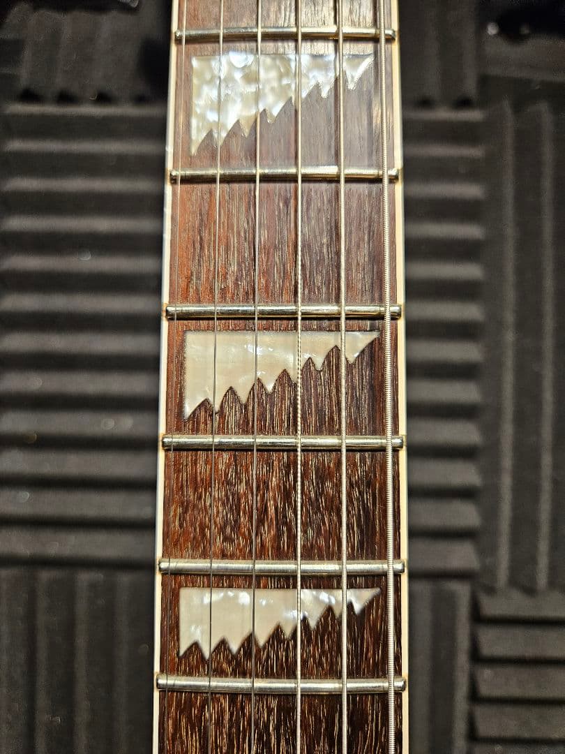 ESP LTD Alexi 200 Alexi Laiho レフティー　左