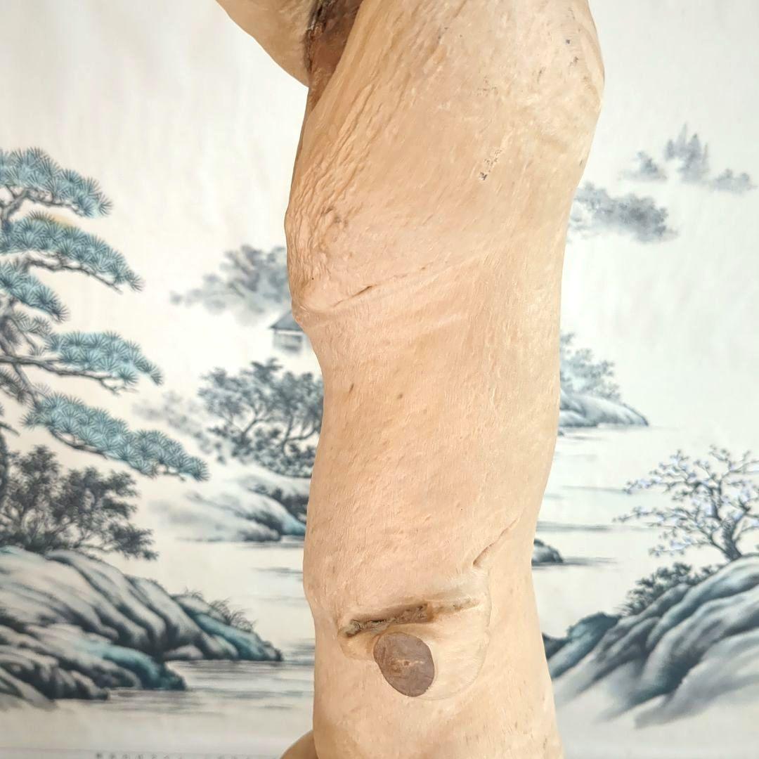 天然木 自然造形 蛇形希少 螺旋状 ねじれ木株 アート作品 高さ約61cm