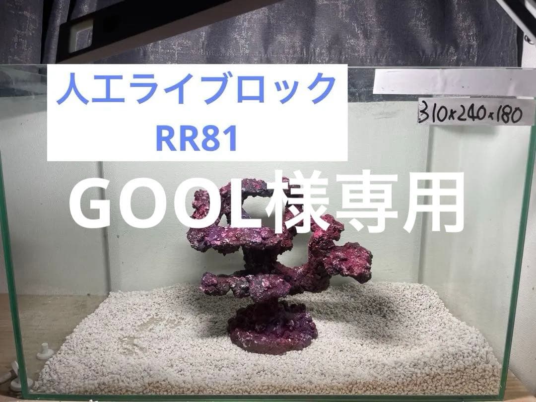 人工ライブロック RR81 アク抜き済み安心塗料使用