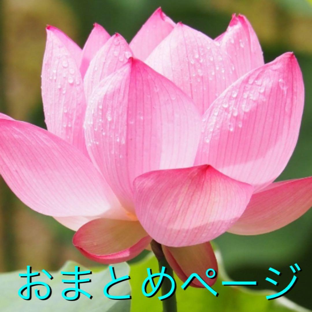 2点バングルおまとめページ