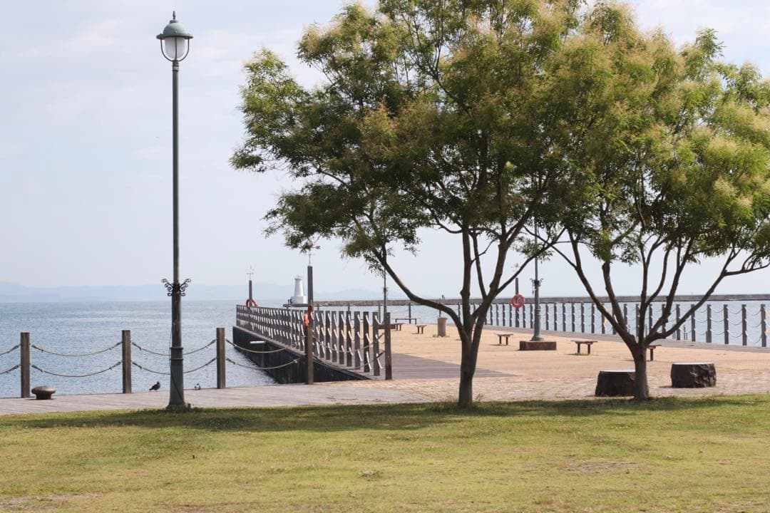 プロフ○○ ★OLYMPUS OM-2 + ★ 標準レンズ50mm