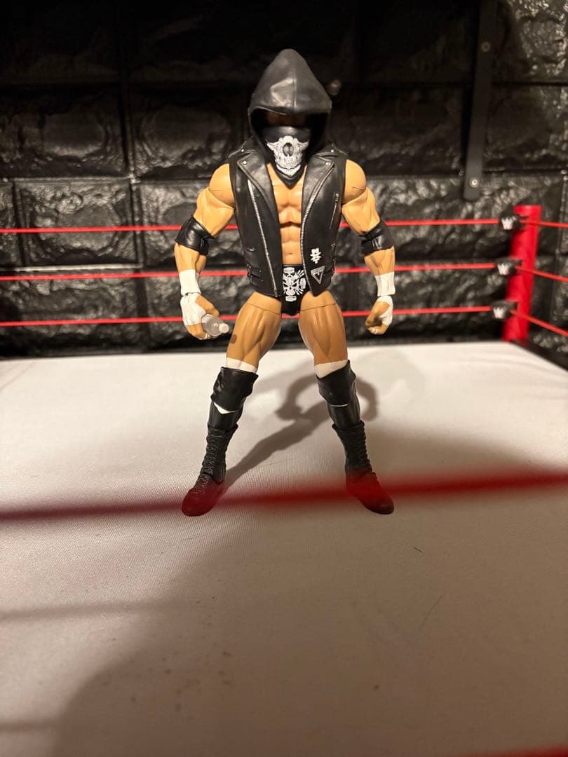 値下げ最終wwe入手困難品多数レスラー 12体+リング・トラック