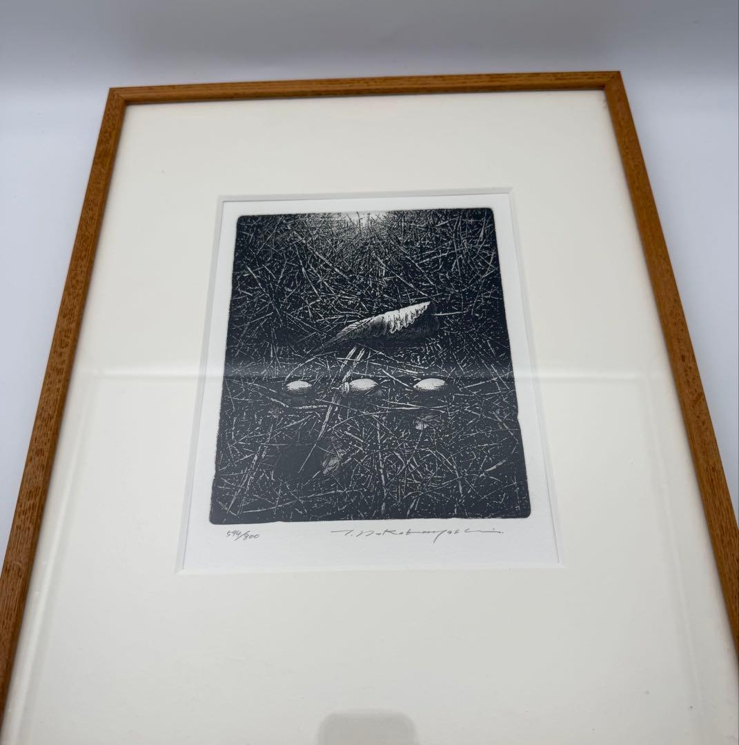 中林忠良 転位 '93 - 地 (種子) エッチング 594/800静物画　版画