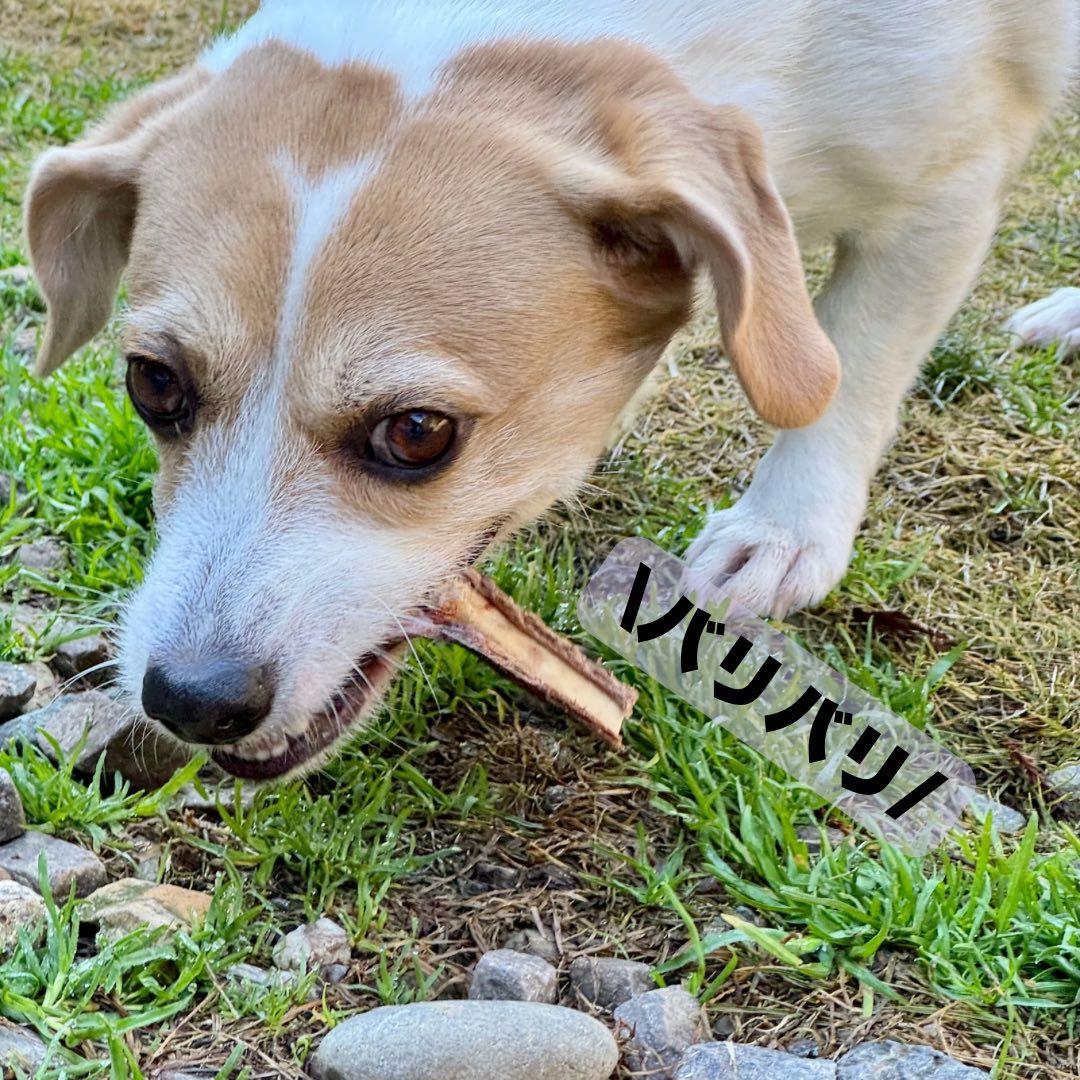 送料込み‼️鹿あばらジャーキー1kg 中小型犬向け 無添加 鹿ジャーキー 鹿肉①