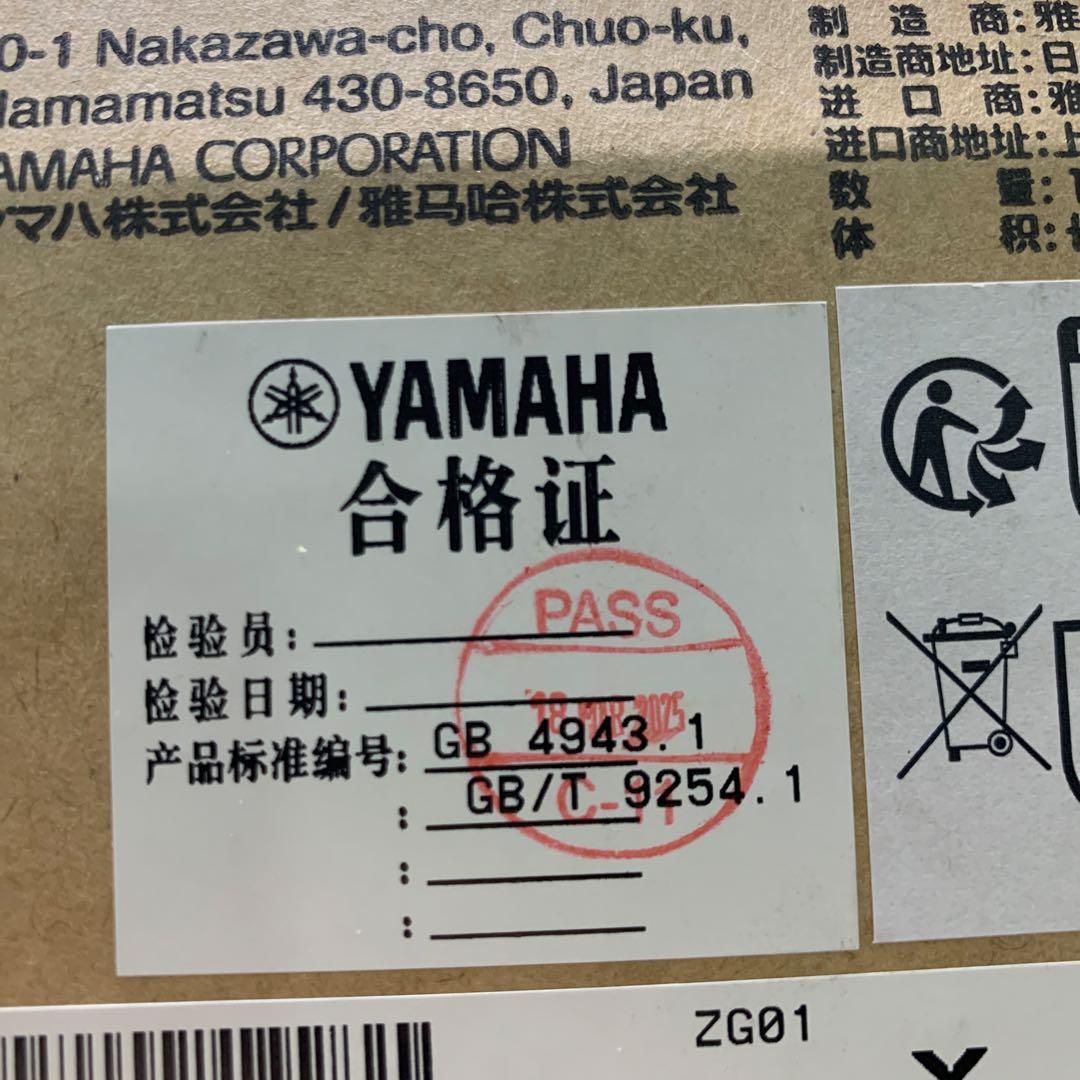 2025年製　YAMAHA ZG01