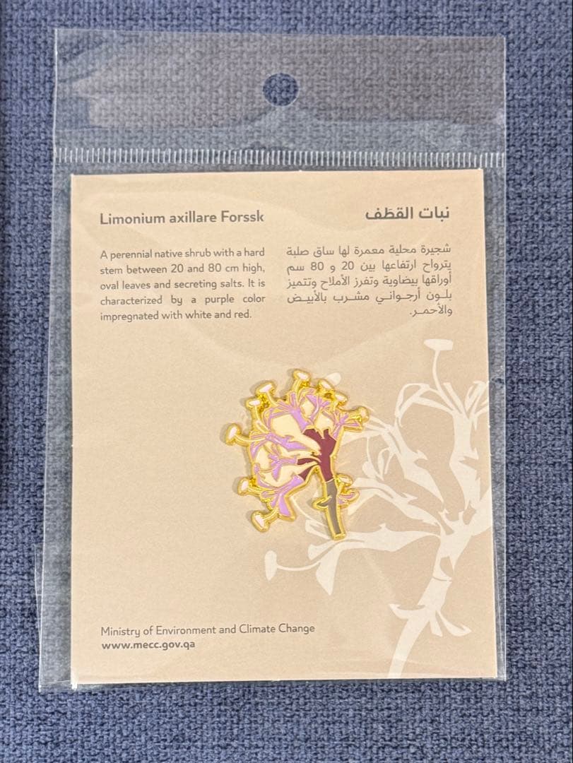 万博 カタールパビリオン 非売品 トート•キャニスター•ピンバッジ 3点セット