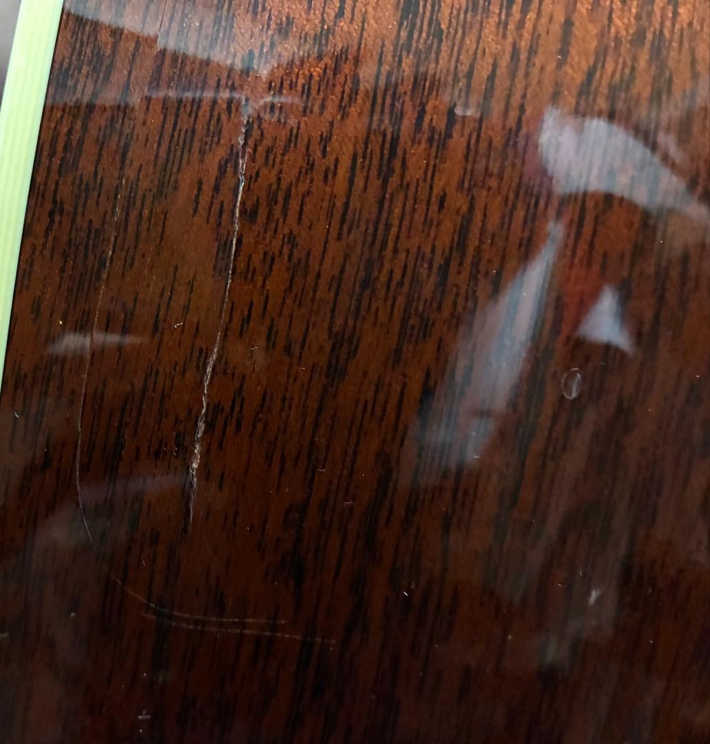 Taylor Guitars アコースティックギター ハードケース付き