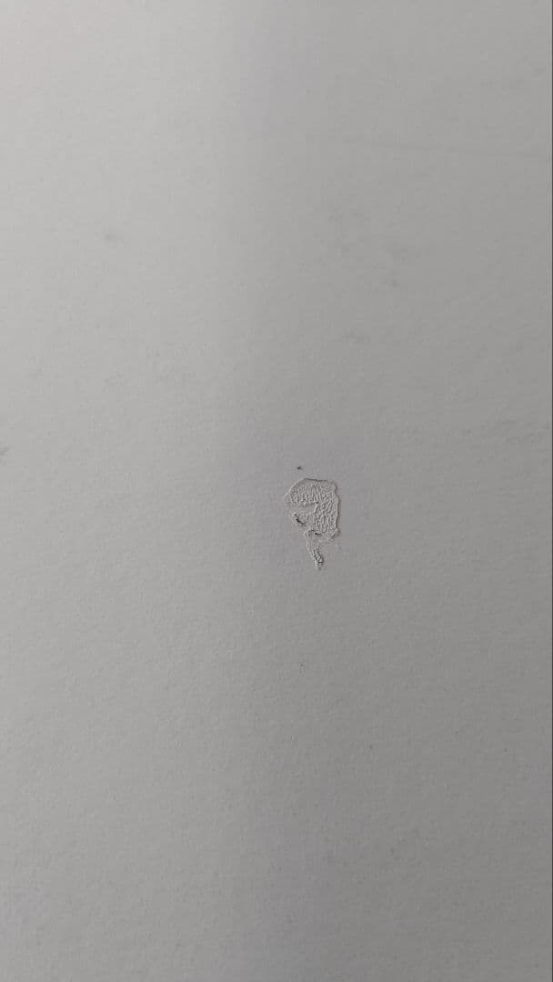 レア 藤原カムイ ウルトラマン シルクスクリーンポスター サイン入り