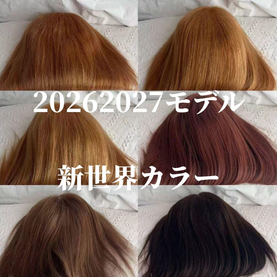 2026新世界　人毛　ウィッグ　フルウィッグ　シルクスキン　医療ウィッグ　レミー