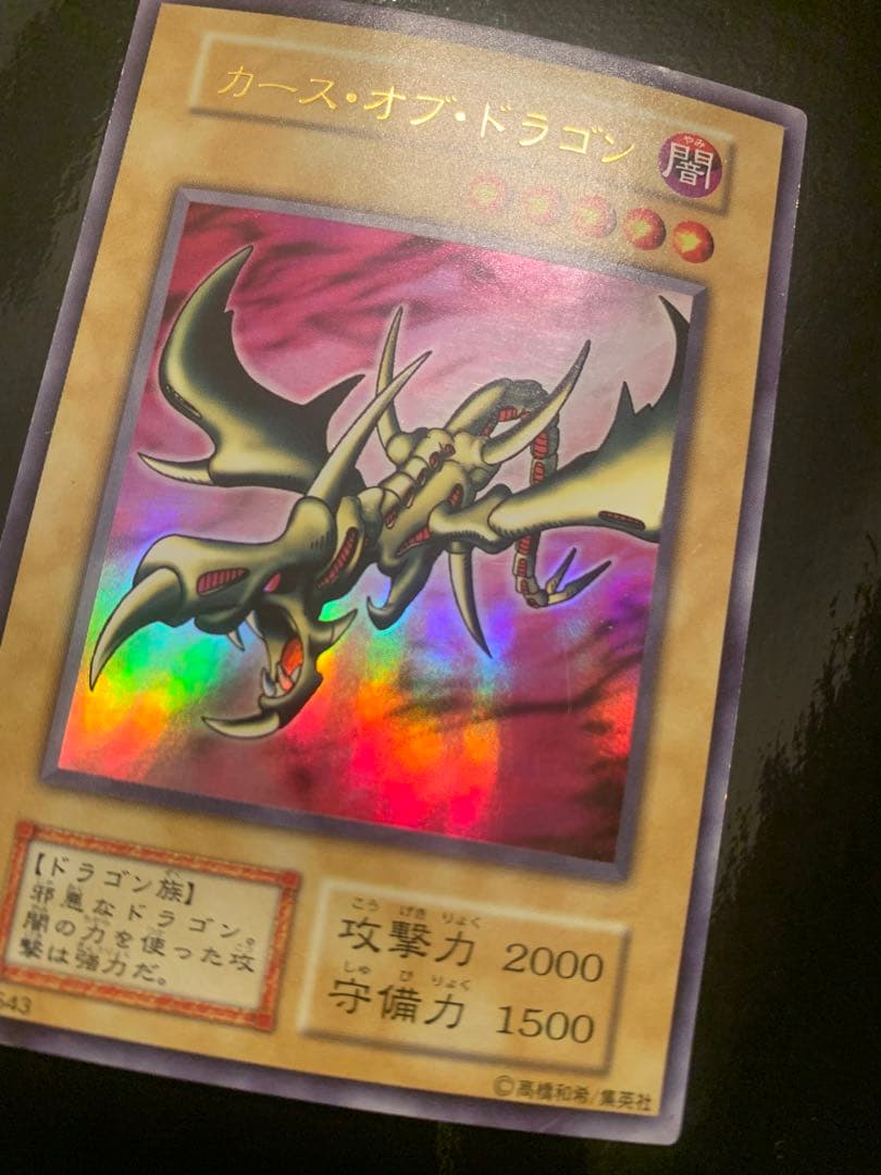 カース・オブ・ドラゴン　確認用