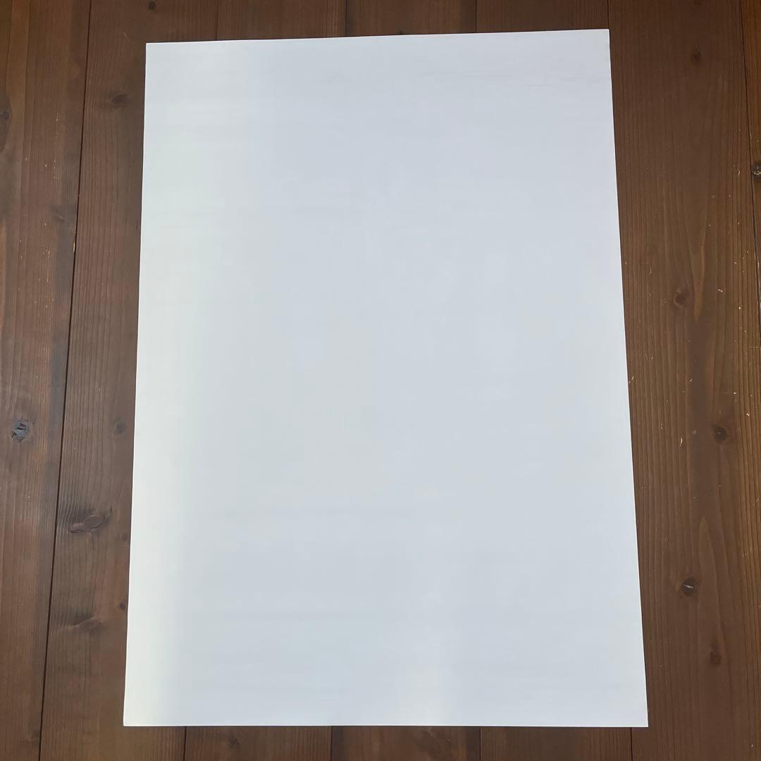 ま*さ様 非売品 ブルーハーツ THE BLUE HEARTS タワレコ限定 ポ