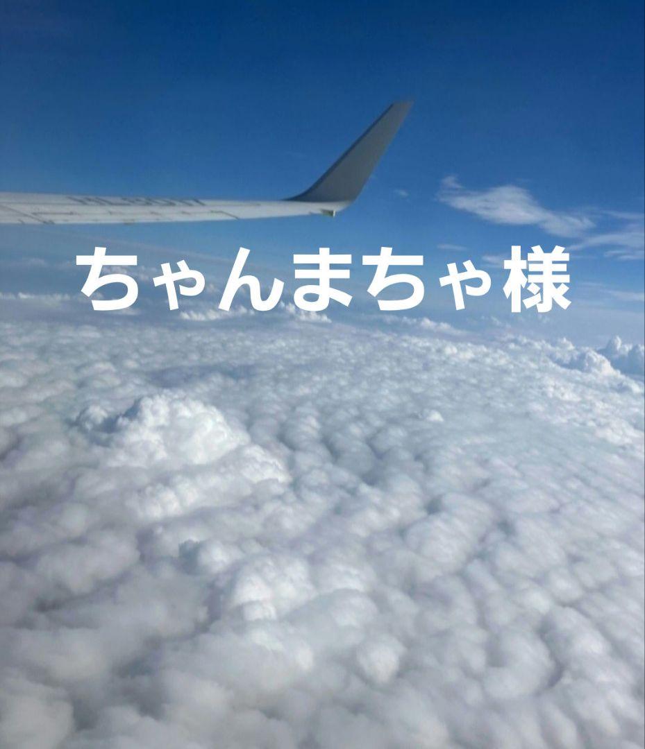ちゃんまちゃ様