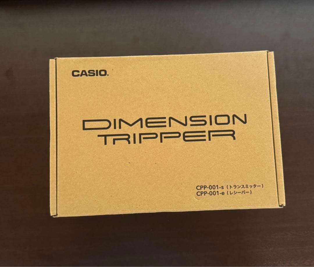 ギター CASIO DIMENSION TRIPPER