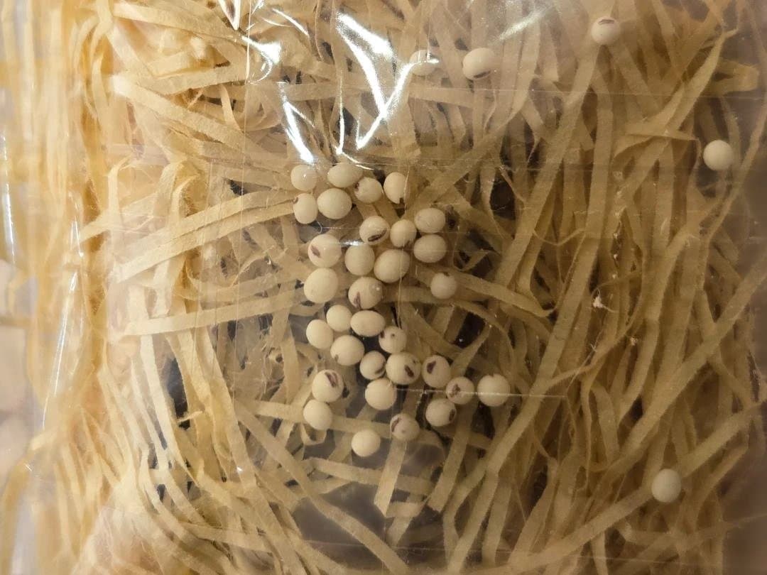 オビツ11　ねんどろいど　節分お飾り物セット