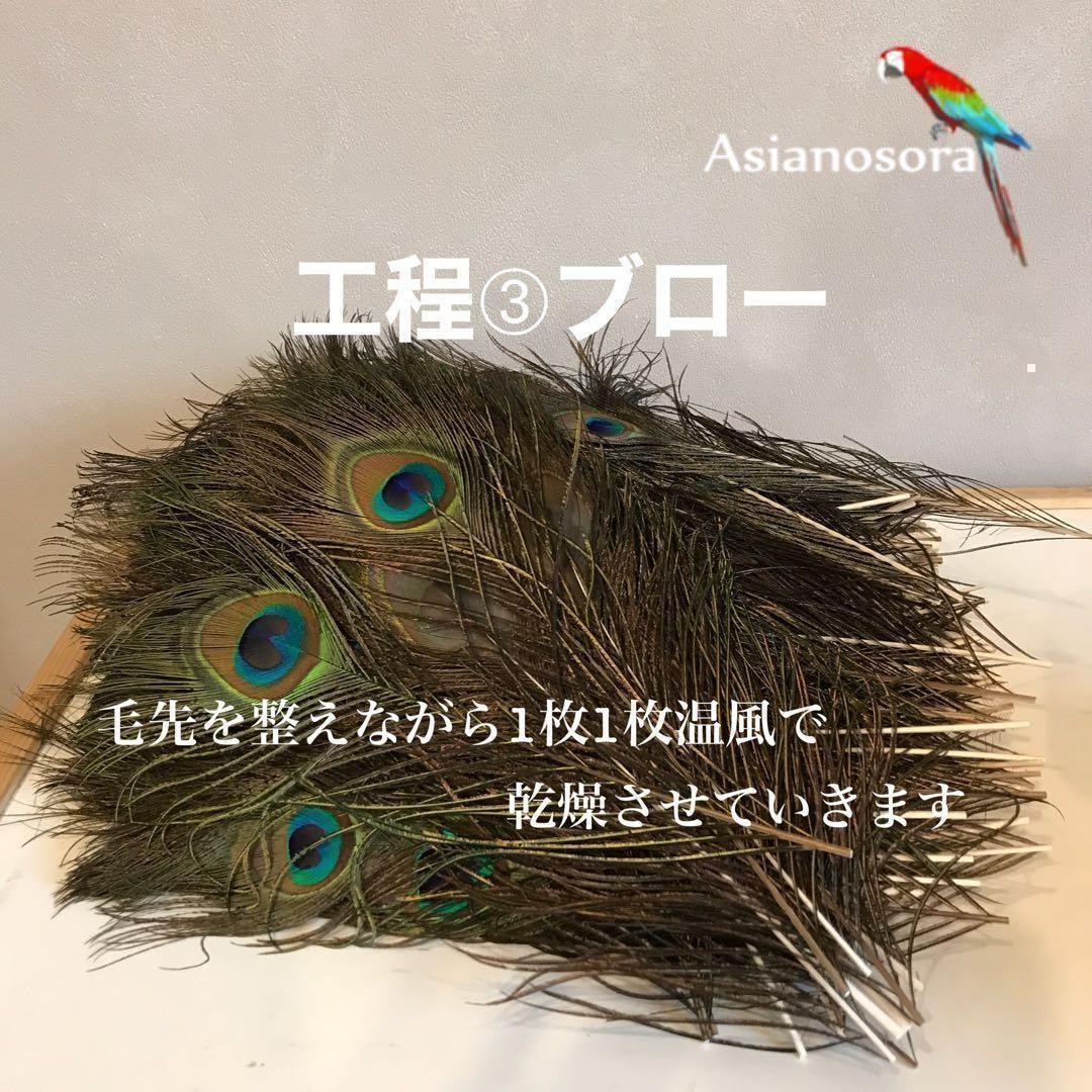 100枚■【クジャク 】孔雀の羽根 目玉 パーツ 鳥 羽根 素材