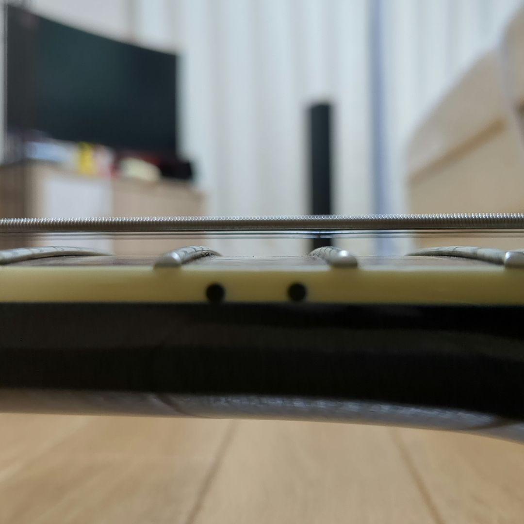 FERNANDES VERTIGO シャチ サスティナー セイモアダンカン搭載