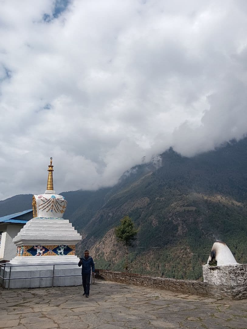 #655 アンモナイト