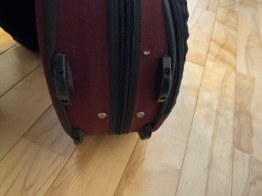 マウリッツィオ　リボーニ　高級バイオリン ケース