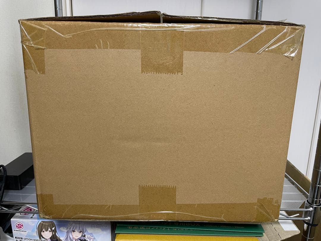 東宝30cmシリーズ　ゴジラ(2023) 限定版