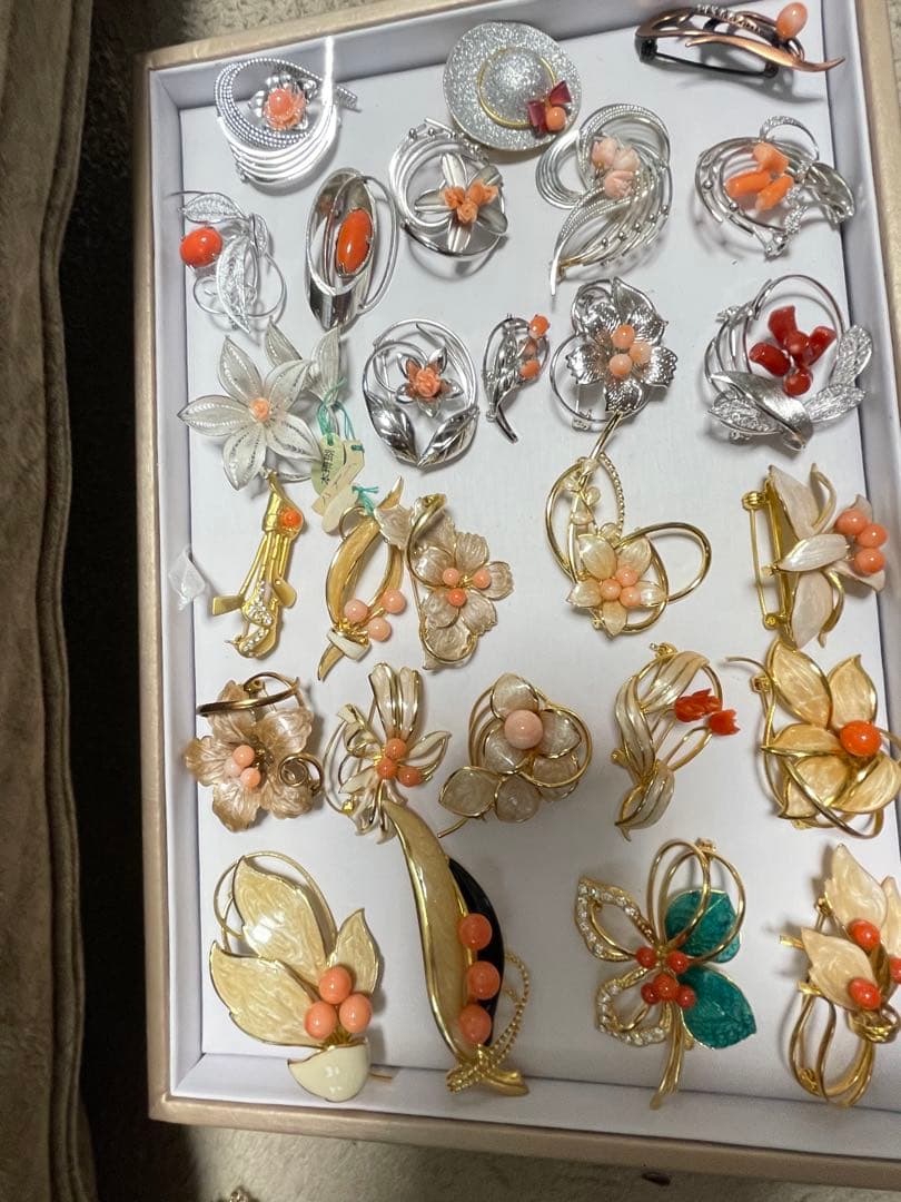 珊瑚プローチまとめ（19）