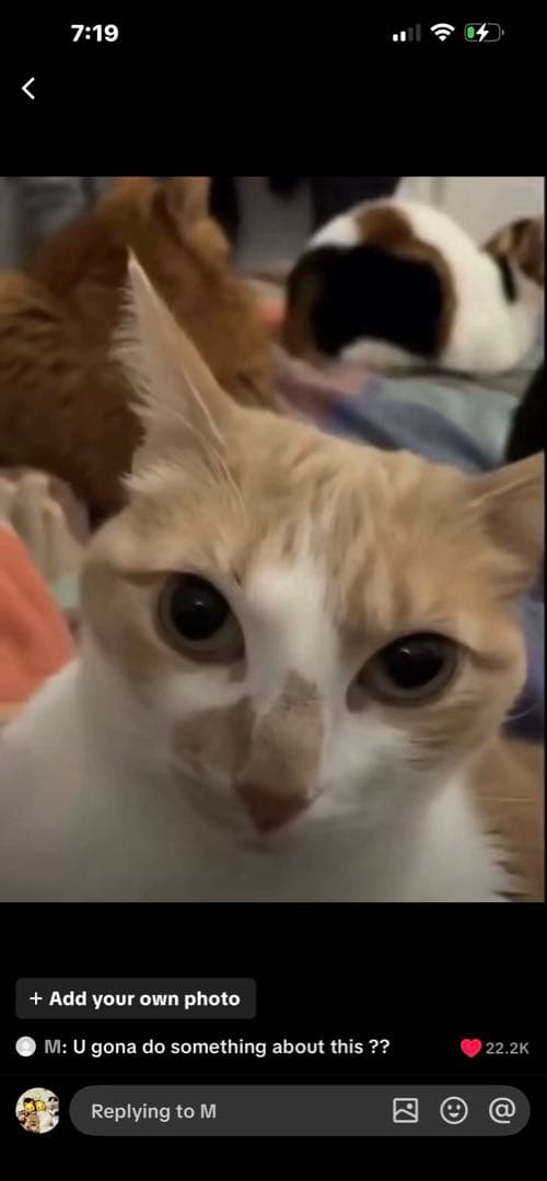 未開封　zdtoys 2体セット　デッドプール&ウルヴァリン フィギュア