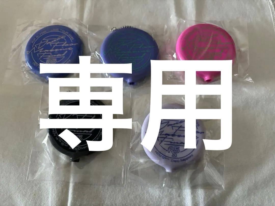 RIP SLYME DFMF 会場限定 ケース