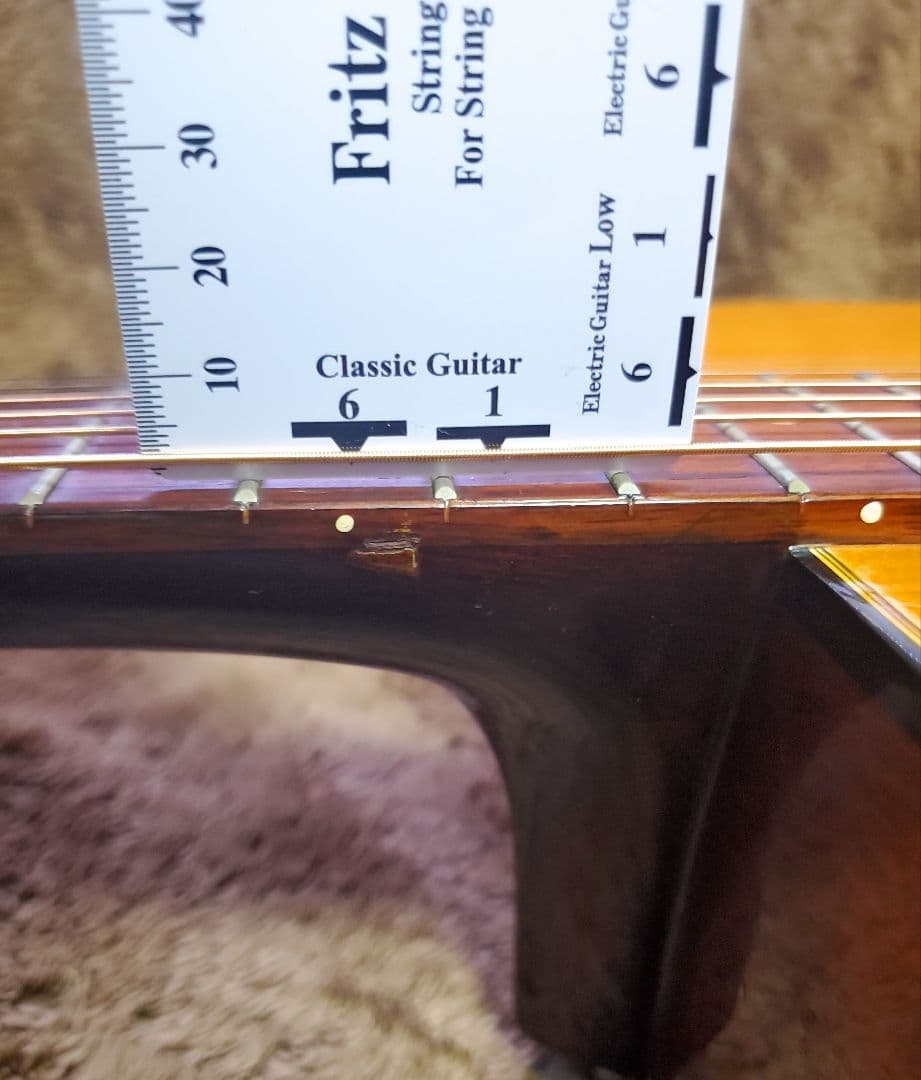 Takamine Elite TW-13 タカミネ エリートD-28 コピー