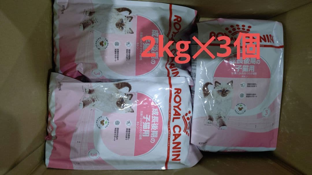  CANIN キトン2kg ✕3個