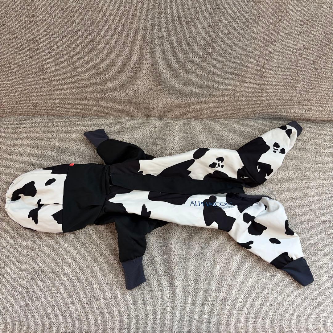 アルファアイコン　スノードッグガード　dxm