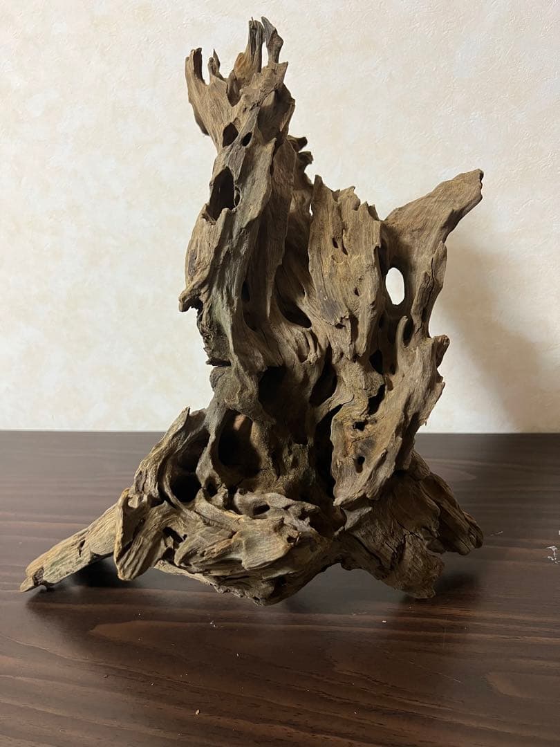 XM-197 流木　マシンガンウッド　アクアリウム　ブランチウッド　沈水確認済