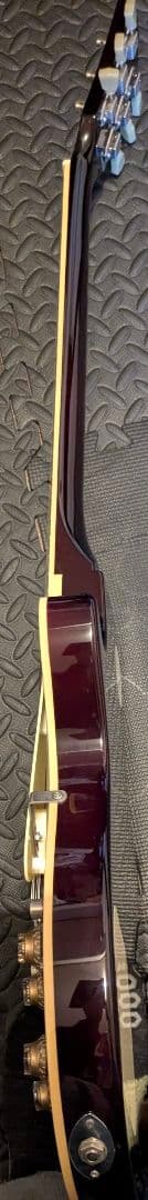 タ*坊様 #Burny #LSD-55N-EGA #イグアナバースト #ケース