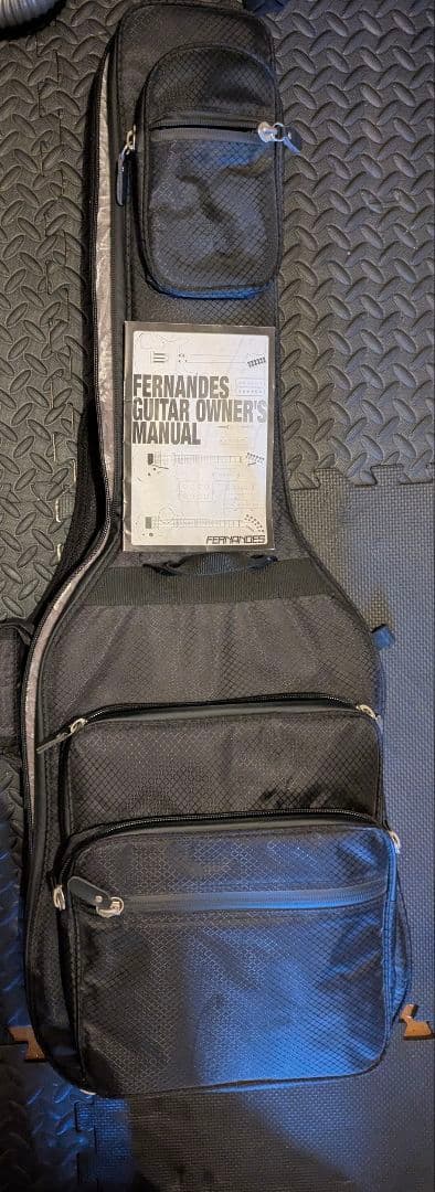 タ*坊様 #Burny #LSD-55N-EGA #イグアナバースト #ケース