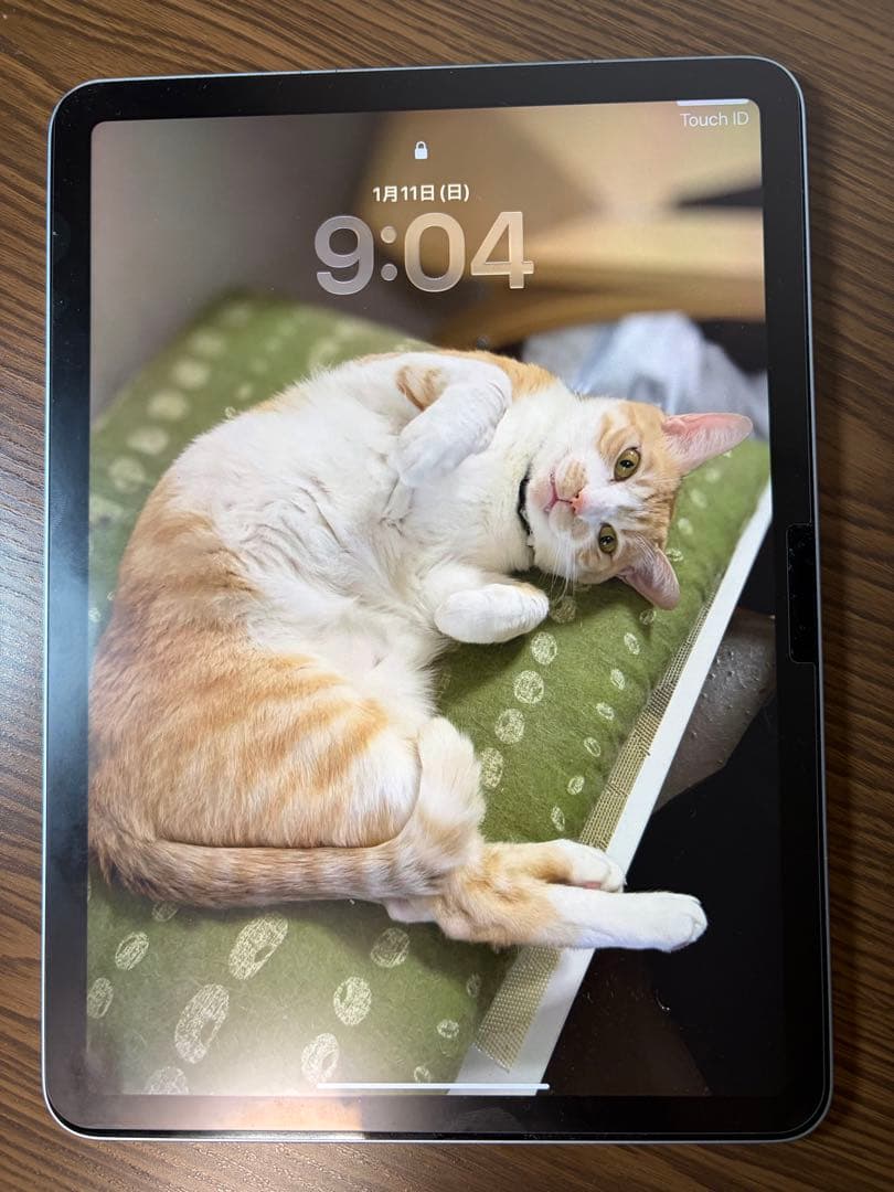 iPad Air 第6世代 Apple M2 11インチ Wi-Fi 128GB