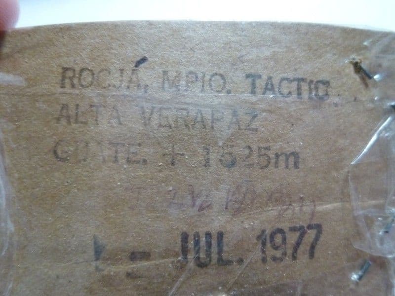 【外国産クロツヤムシ標本】ゴーリーオバケクロツヤムシ/グアテマラ産/69mm