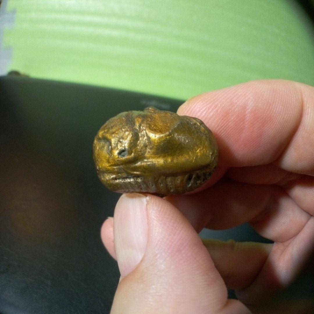 三葉虫　化石　fossil　ボリビア産　レア　Fossil管理⑤