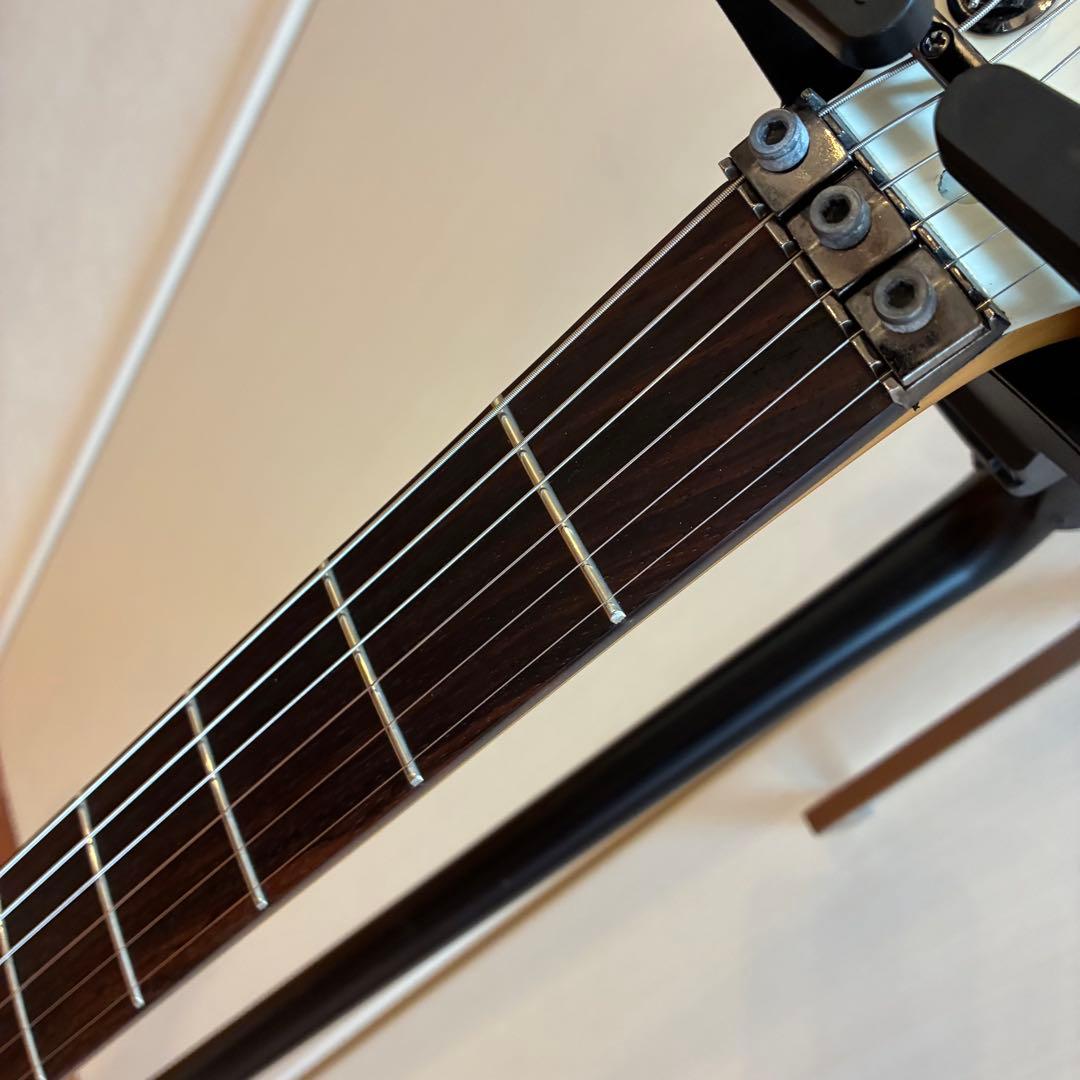 Sago Seed Kotetsu 和楽器バンド 桜村眞（町屋）氏監修モデル