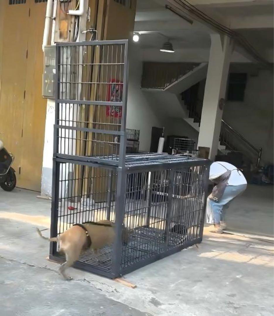 補強型 イノシシ・シカ用箱罠 犬小屋 片扉 2mx1mx1m (福山営業所止め）